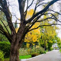 В Ботаническом саду :: Галина Бобкина