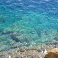 PRO  цвет .... :: Алёна Савина