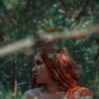 Жар-птица :: Валерия .