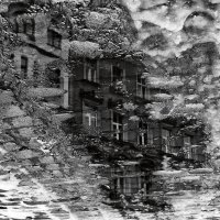 В снежно-ледовом плену :: Регина 