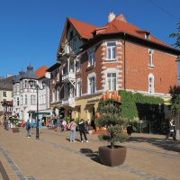 Зеленоградск и Курортный проспект. :: Евгений Седов