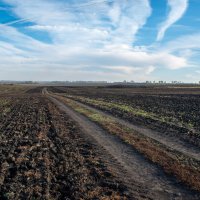 Прогулка по полям :: Владимир Иванович Прогулка по полям :: Владимир Иванович