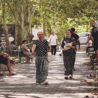 Цыганские страсти :: Сергей Царёв