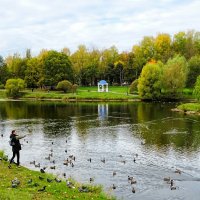 Октябрь в городе. :: Милешкин Владимир Алексеевич 