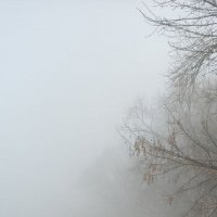 Москва-река в тумане :: Наталия 