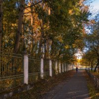 Вот и осень пришла :: Виктор Иванович Чернюк