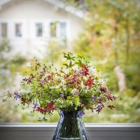 У окна...за окном... :: Bosanat 