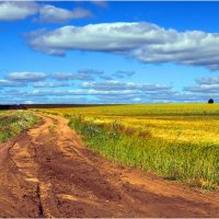 Летний этюд :: Валентин Котляров