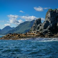 ... :: Жора Житников