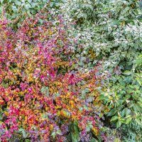 Разноцветный октябрь :: Валерий Иванович Разноцветный октябрь :: Валерий Иванович