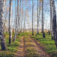 Осень :: **** vedin