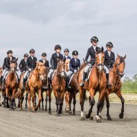 Парад :: SanSan 