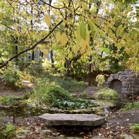 Уединение :: Лариса Корж