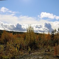 Палитра осени :: Ольга 