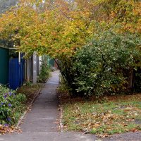 Пасмурно в душе и за душою, если там, внутри, надежды нет… :: Татьяна Смоляниченко Пасмурно в душе и за душою, если там, внутри, надежды нет… :: Татьяна Смоляниченко