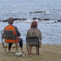 Релакс обоюдный :: ИРЭН@ .