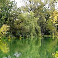 Картинки октября :: Рита Симонова