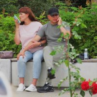 и не вместе , и не врозь :: Елена Шаламова