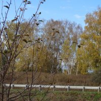 ОСЕННЯЯ ПОРА :: СЕРГЕЙ ФИЛОЧКИН