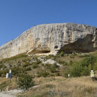 Природа Крыма :: Amazing Cosmea Природа Крыма :: Amazing Cosmea
