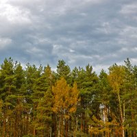 Уж небо осенью дышало... :: Светлана 