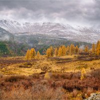 Алтай в октябре... :: Алексей Мезенцев