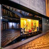 АЛМААТИНСКИЙ СТРИТ :: HART BAD