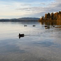 Осенний покой на озере. :: Сергей Адигамов