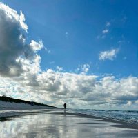 Калининград. Куршская коса. :: Алена Малыш