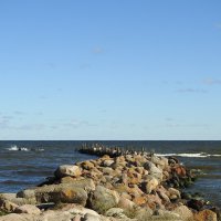 ****** :: ИННА ПОРОХОВА