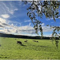 В парке вечер, стало тише. Он теплом последним дышит. Лист тихонько спрыгнул с ветки, Это осень став :: "The Natural World" Александер