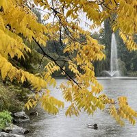 Вспоминать приятно юность Сколько смысла было в ней. :: "The Natural World" Александер
