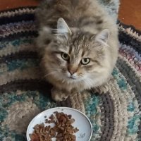 Ты серьезно мне это предлагаешь?.. :) :: Наталья Ты серьезно мне это предлагаешь?.. :) :: Наталья