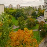 "Падучая" осень была ;) :: Юрий Куликов