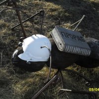 муравей - работник :: fogmeadowww m