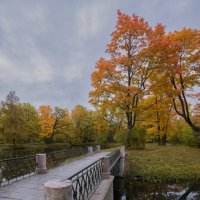 Мостик в осень :: Максим Вышарь