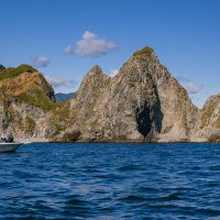 ... :: Жора Житников