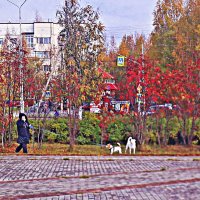 Октябрь...С двумя собачками в городском сквере! :: Владимир 
