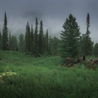 * :: Александр Иванов