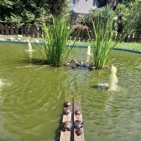 Ниндзя в детстве :: Serega SchütZ