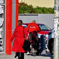 Когда красного много... :: Николай Саржанов