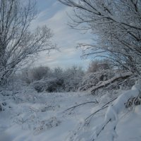 Зима :: Anna Ivanova