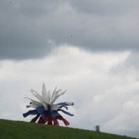 Академический :: Елена Шаламова