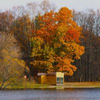 ОСЕННИЙ ДЕНЬ В ПАРКЕ КУЗЬМИНКИ-ЛЮБЛИНО :: Валентина 