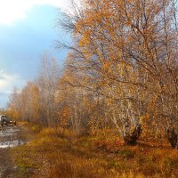 Осенняя дорога :: Сергей Никифоров