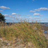 *** :: Геннадий Порохов