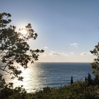 Утро в Крыму :: Oleg S
