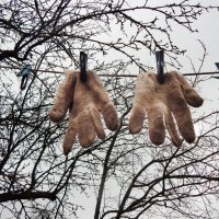 Дачный сезон закрыт :: Александр Ковальчук