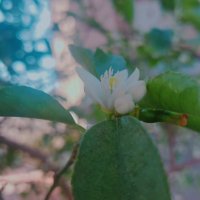 13  ОПЕН (479) :: OPEN WAYS ALL