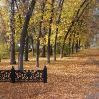 Осень в городе :: Наталия Григорьева